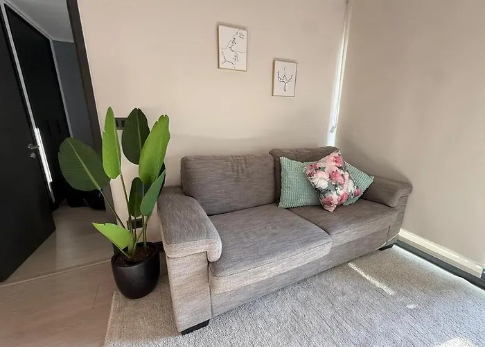Lindo Y Acogedor Apartamento En Nunoa